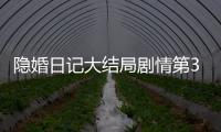 隱婚日記大結局劇情第33集