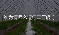 難為情怎么造句二年級（難為情造句二年級）