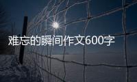 難忘的瞬間作文600字（難忘的瞬間初中作文）