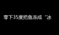 零下35度把魚凍成“冰塊” 放入水盆竟復活了 ！