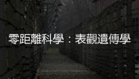 零距離科學：表觀遺傳學——創傷經歷能遺傳後代？