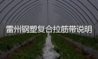 雷州鋼塑復合拉筋帶說明