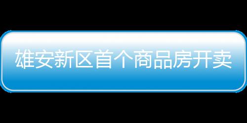 雄安新區首個商品房開賣:售樓處門口堵車,不接受個人報名,最高單價1.4萬/平