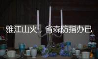 雅江山火，省森防指辦已啟動森林草原火災應急預案四級響應