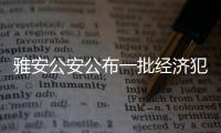 雅安公安公布一批經(jīng)濟(jì)犯罪典型案例