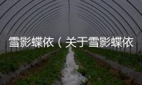 雪影蝶依（關于雪影蝶依的基本情況說明介紹）