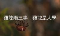 雞塊兩三事：雞塊是大學教授造福人群的發明，而且比你我都早征服宇宙