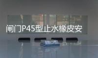 閘門P45型止水橡皮安裝固定