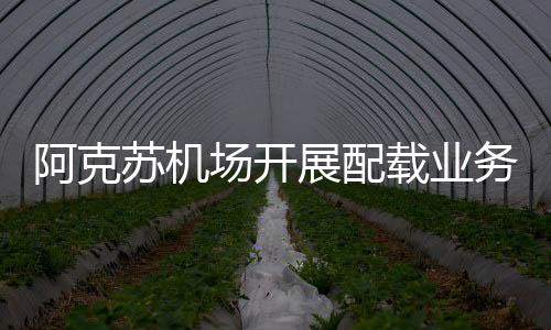 阿克蘇機場開展配載業(yè)務鞏固提升專項培訓