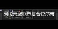 阿拉善盟鋼塑復合拉筋帶30020B批發價格