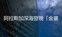 阿拉斯加深海發(fā)現「金蛋」 科學家不知為何物