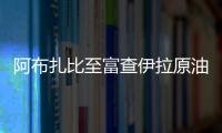 阿布扎比至富查伊拉原油管線推遲6個月啟用