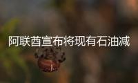 阿聯(lián)酋宣布將現(xiàn)有石油減產(chǎn)措施延長至二季度