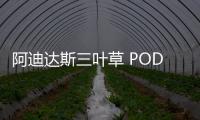 阿迪達斯三葉草 POD S3.1 鞋款全新中國風配色釋出，用心的細節