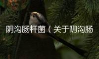 陰溝腸桿菌（關于陰溝腸桿菌的基本情況說明介紹）