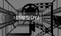 防爆型DYJ