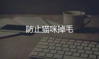 防止貓咪掉毛