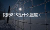 陽歷828是什么星座（8 28是什么星座）