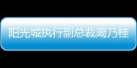 陽光城執行副總裁闞乃桂辭職