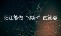 陽江能做“供卵”試管嬰兒嗎？聽說廣州可以是真的嗎？