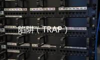 陷阱（TRAP）