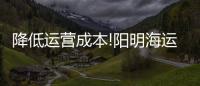 降低運(yùn)營(yíng)成本!陽(yáng)明海運(yùn)欲退租高價(jià)船節(jié)省10億臺(tái)幣