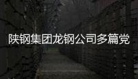 陜鋼集團龍鋼公司多篇黨建工作實踐研究課題及論文喜獲表彰