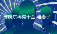 陳曉東再得千金 陪妻子分娩親剪臍帶【娛樂新聞】風(fēng)尚中國網(wǎng)