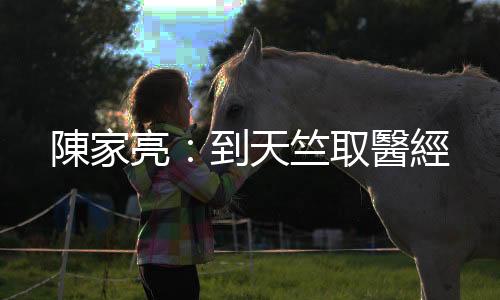 陳家亮：到天竺取醫經