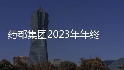 藥都集團2023年年終銷售總結(jié)報告會圓滿結(jié)束