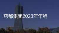 藥都集團2023年年終銷售總結報告會圓滿結束