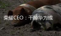 榮耀CEO：干掉華為成為國(guó)內(nèi)第一！