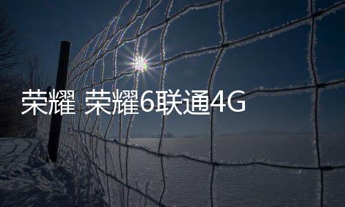 榮耀 榮耀6聯通4G 免拆機解鎖屏幕