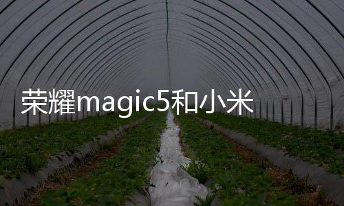 榮耀magic5和小米13哪個好（榮耀magic5和小米13對比）