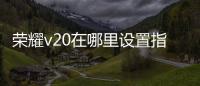 榮耀v20在哪里設置指紋解鎖（榮耀v20手機怎么打開設置人臉解鎖）