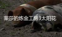 萊莎的煉金工房3太陽花在哪獲得