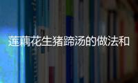 蓮藕花生豬蹄湯的做法和食材用料及健康功效