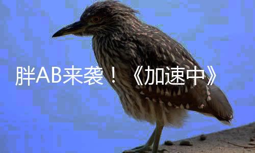 胖AB來襲！《加速中》黃曉明臧洪娜默契足【娛樂新聞】風尚中國網