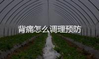 背痛怎么調理預防