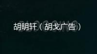 胡明軒（胡戈廣告）