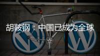 胡鞍鋼：中國已成為全球發展的中堅力量