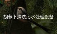 胡蘿卜清洗污水處理設備