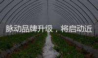 脈動品牌升級，將啟動近年來大規模品牌升級