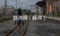 脈沖閥（脈沖）
