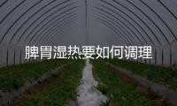 脾胃濕熱要如何調(diào)理