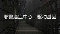 耶魯癌癥中心：驅(qū)動(dòng)基因陰性NSCLC 一線免疫治療怎么選？