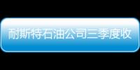 耐斯特石油公司三季度收益超預期