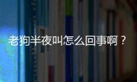 老狗半夜叫怎么回事啊？狗半夜叫怎么回事呢