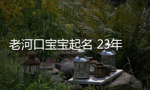 老河口寶寶起名 23年起名經驗 國學起名新勢力