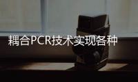 耦合PCR技術(shù)實(shí)現(xiàn)各種致病菌和病毒核酸的檢測(cè)